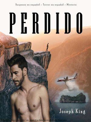 cover image of PERDIDO